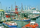 Hamburger Hafenbarkasse am Sportboot-City-Hafen : Feuerschiff